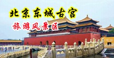 黄片尻屄中国北京-东城古宫旅游风景区